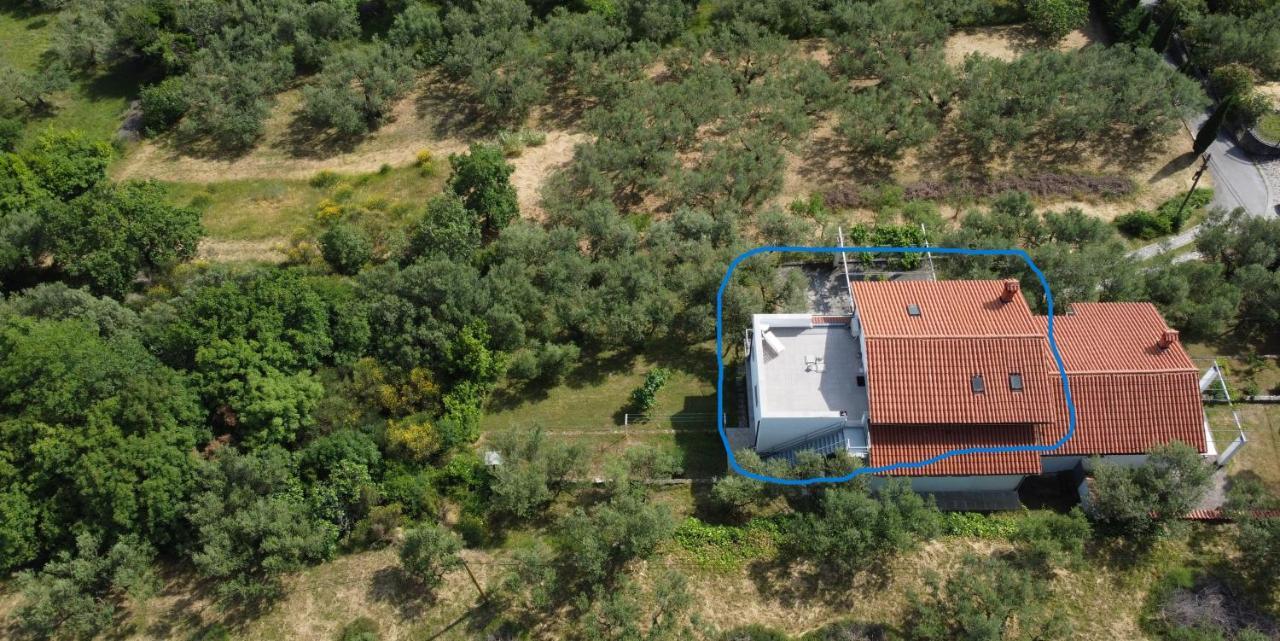 House Among Olive Trees With A Sea View 1 Lägenhet Ankaran Exteriör bild
