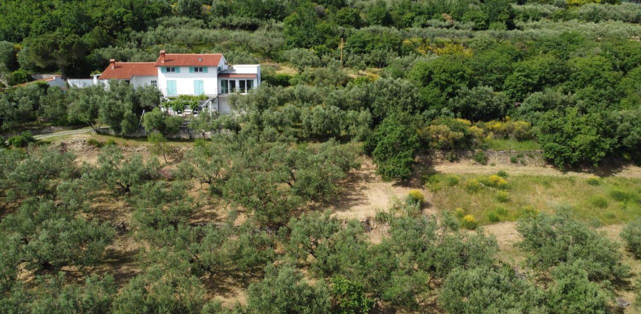 House Among Olive Trees With A Sea View 1 Lägenhet Ankaran Exteriör bild