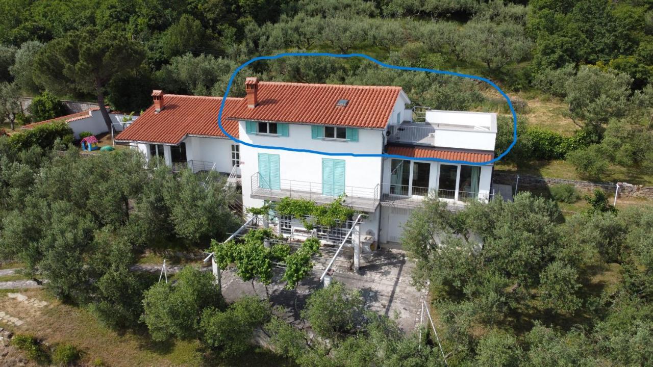 House Among Olive Trees With A Sea View 1 Lägenhet Ankaran Exteriör bild