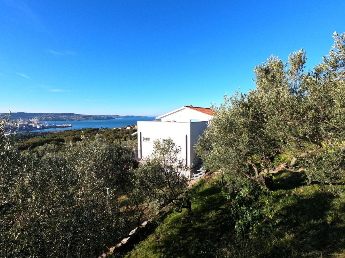 House Among Olive Trees With A Sea View 1 Lägenhet Ankaran Exteriör bild